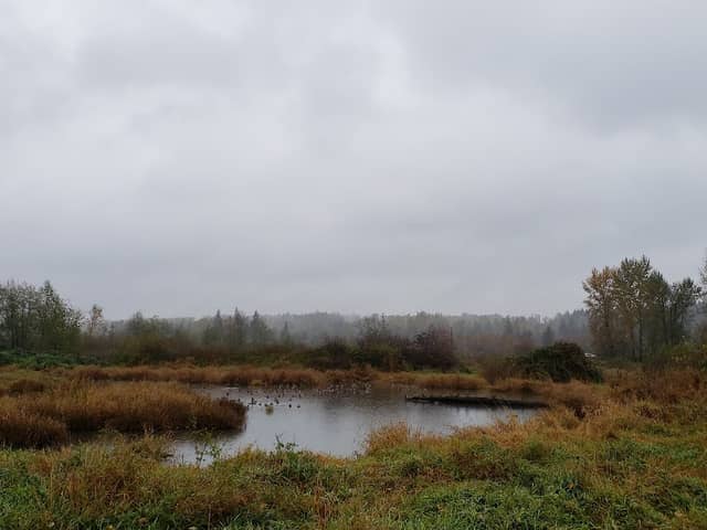 Charles Richardson Nature Reserve - Image 1