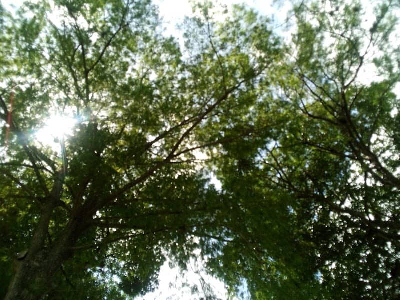 Jackie Gleason Park - Image 3