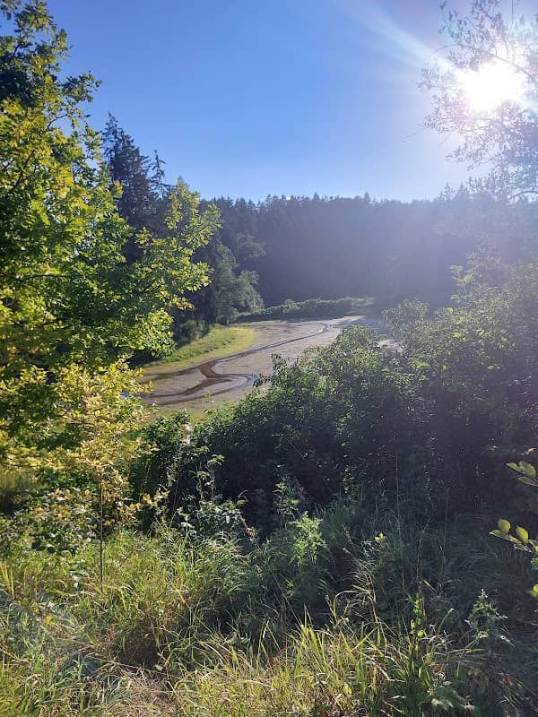Staubecken Warching - Image 1