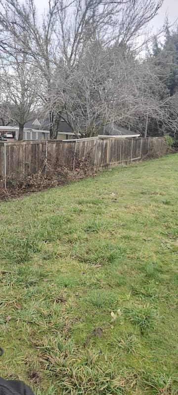 Steve Street Park - Image 2