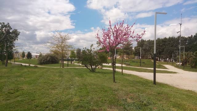 Urban Aldo Moro Park Rutigliano - Image 2