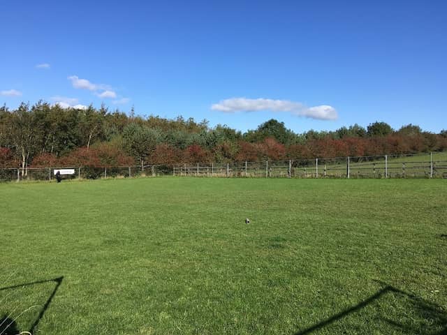Harperland Dog Runs - Image 1