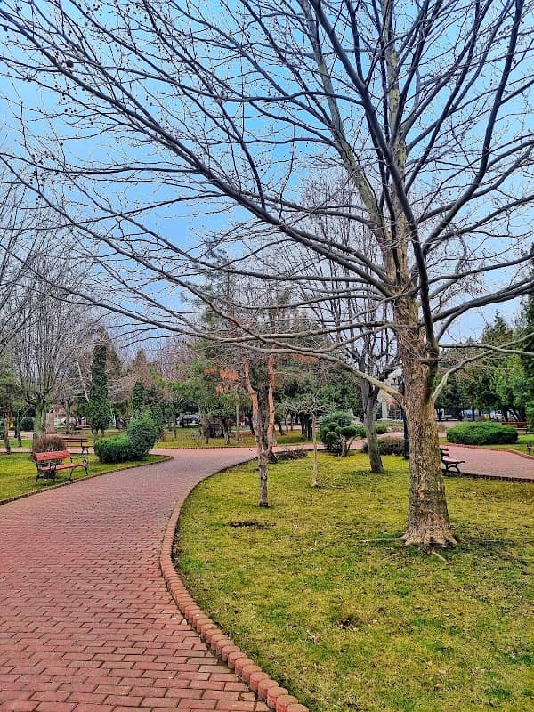 Parcul Victor Ion Popa - Image 2