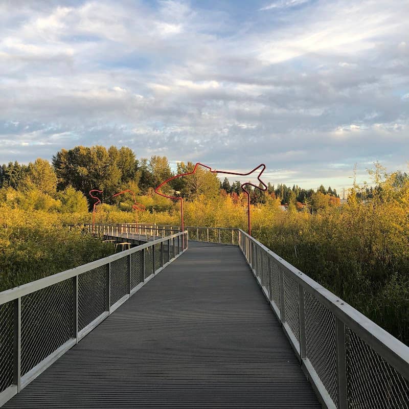 Totem Lake Park - Image 3