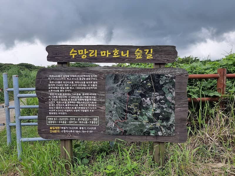 수망리 마흐니 숲길 - Image 1