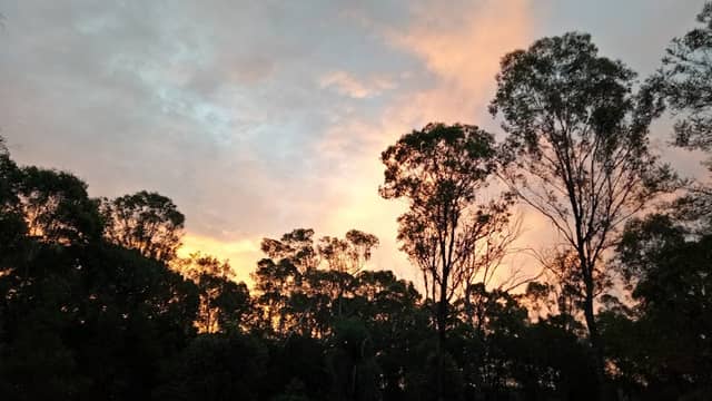 Dalmeny Reserve - Image 1