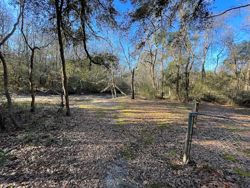 Lillian Ave Park - Image 1
