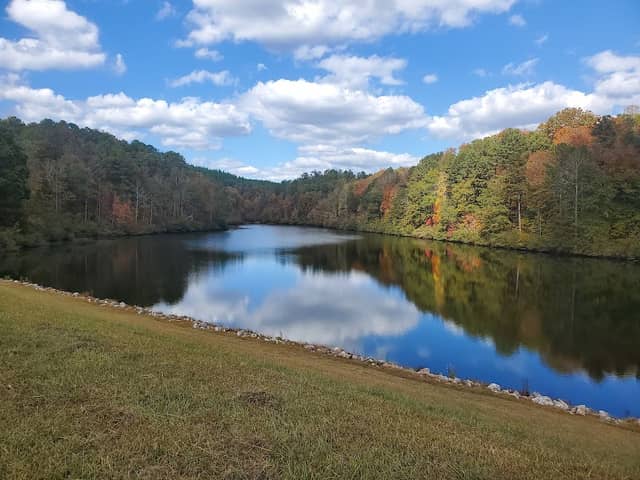 Heflin Community Restorative Garden and Dog Run - Image 1