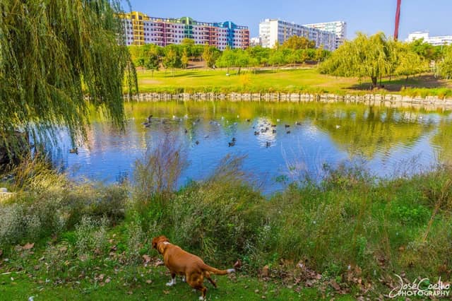 Parque da Paz - Image 2