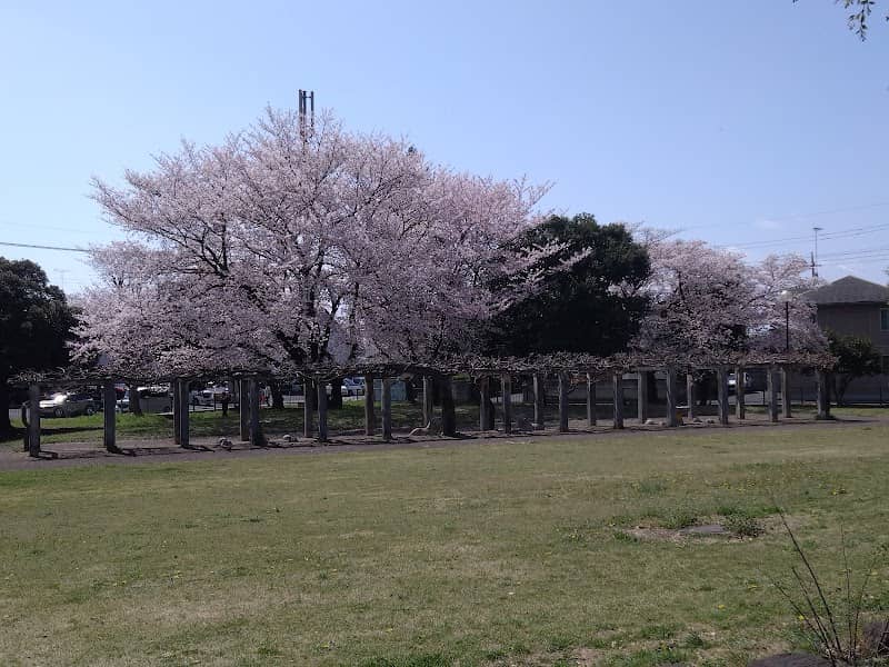 Tenjin Park - Image 1