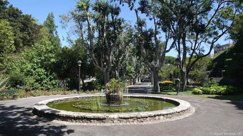 Lago do Jardim Municipal de Oeiras - Image 1