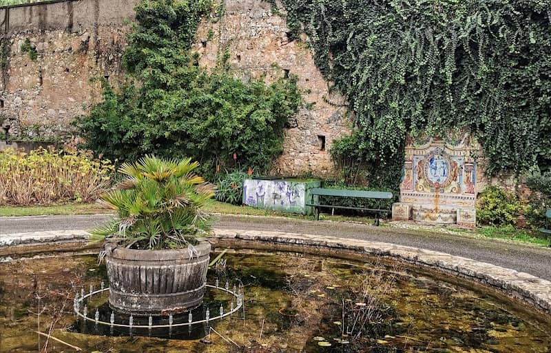 Lago do Jardim Municipal de Oeiras - Image 3