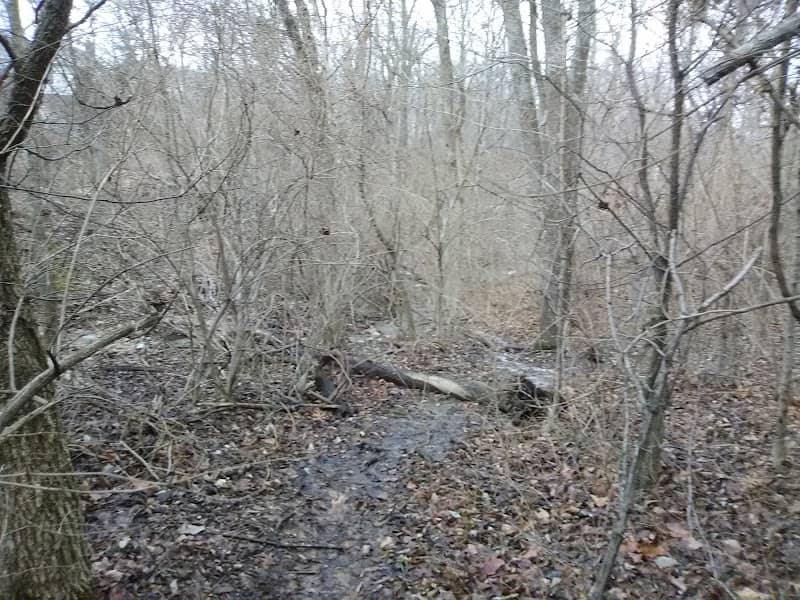 Fox Run Park - Image 1