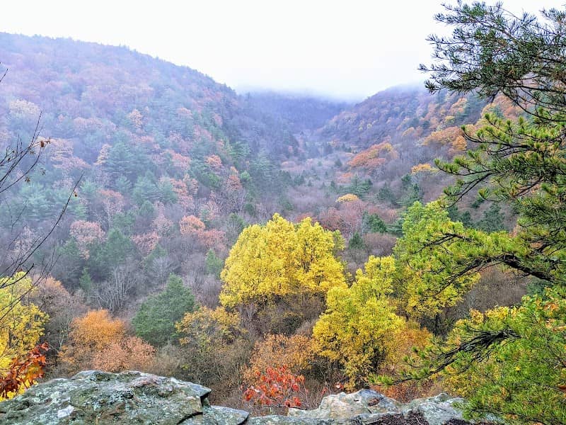 Zindel Park - Image 1