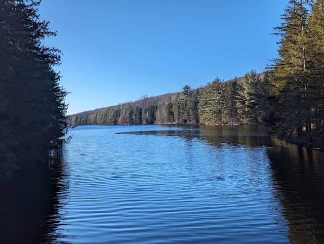 Weiser State Forest Parking Lot - Image 1
