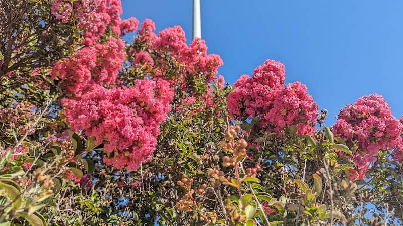 Ritchey Park - Image 3