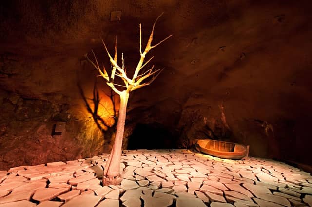 Botanische Unterwelt - Image 2