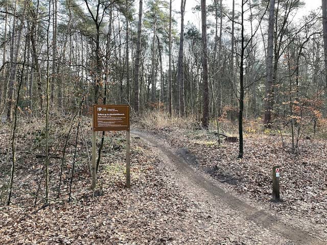 MTB trail - Image 1