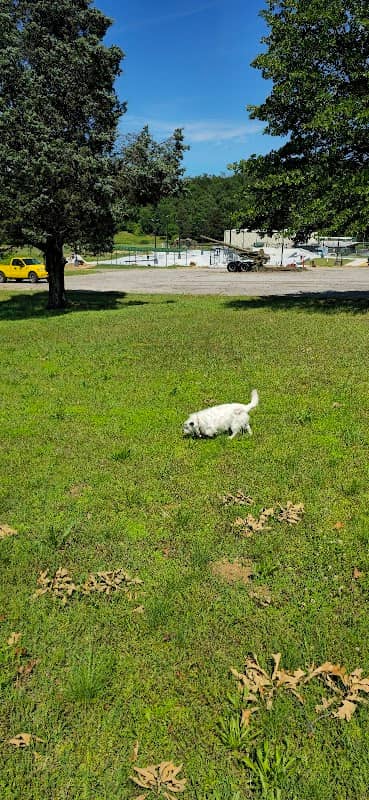 City Park - Image 1