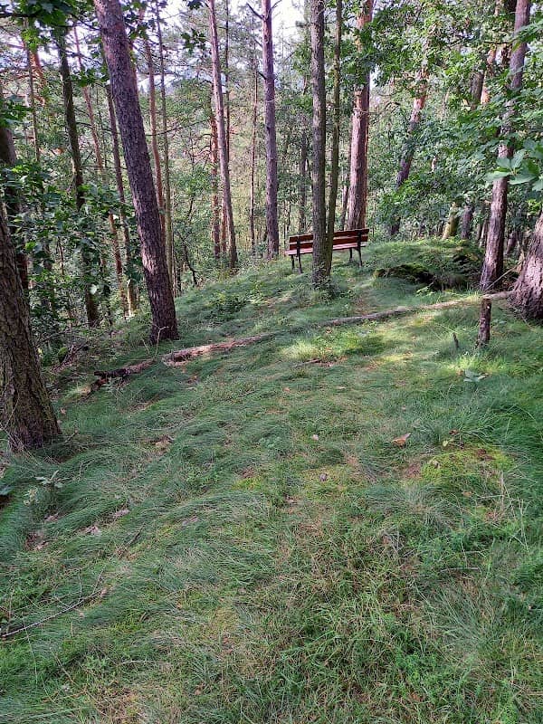 Borberg Rundwanderweg - Image 1