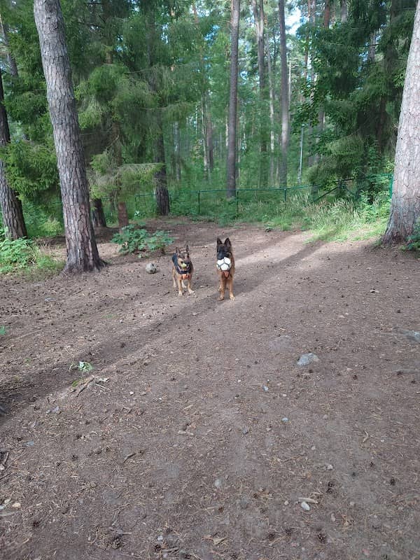 Kusens backes Hundpark - Image 1