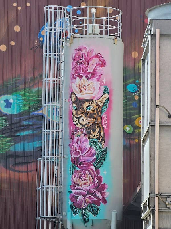 Pirate Life Murals - Image 2