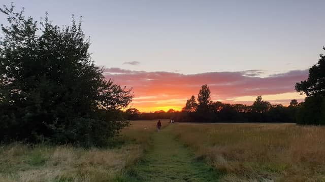 Parkfields - Image 2