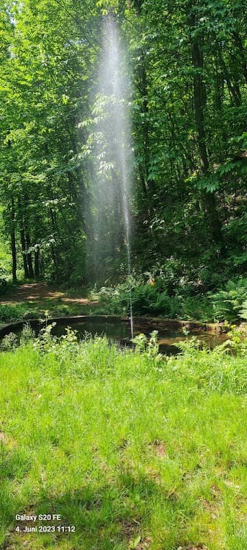 Bellachini-Brunnen - Image 1