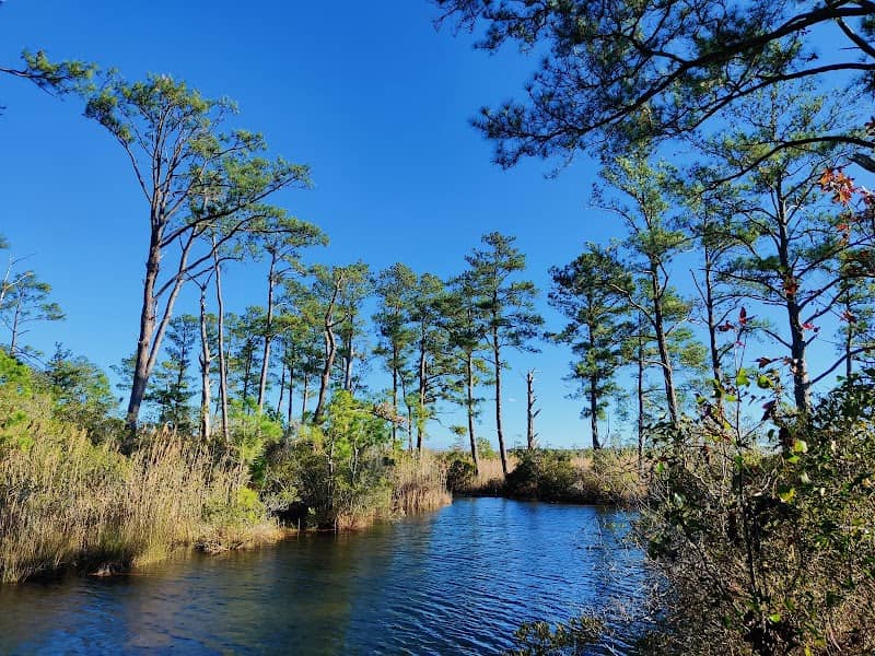 Great Marsh Trail .3 Mile Loop - Image 1