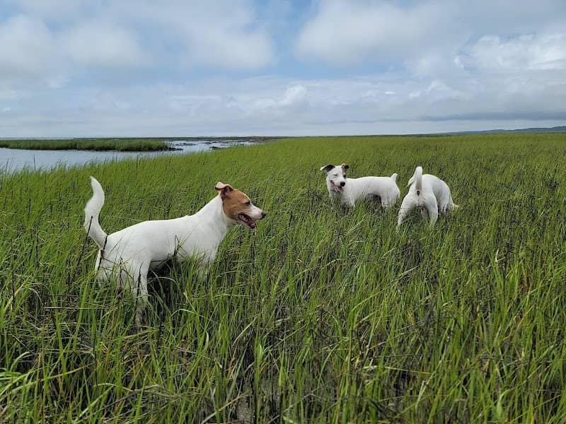 Oyster Village Horse Island Trail - Image 2