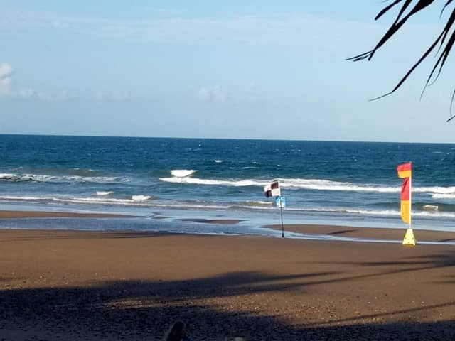 Nielson Park - Image 1
