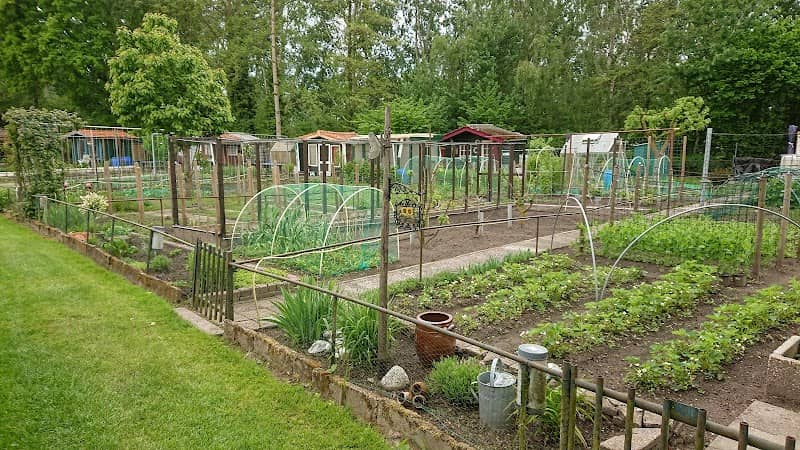 Volkstuin Delta Helmond - Image 2
