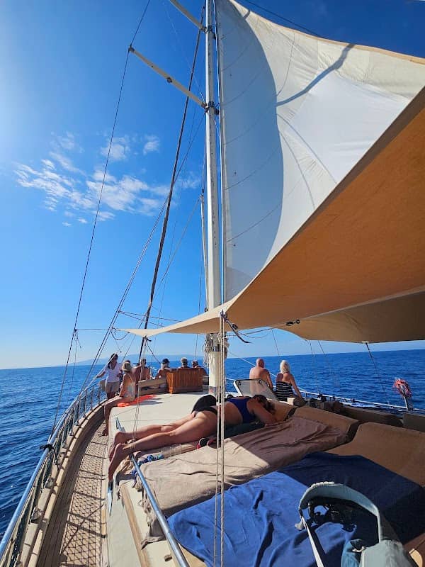 Divane Boat Tours - Image 3