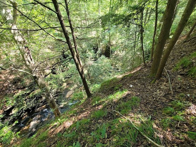 Rocky Ravine Park - Image 1