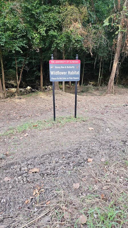 Butterfly Trail - Image 2