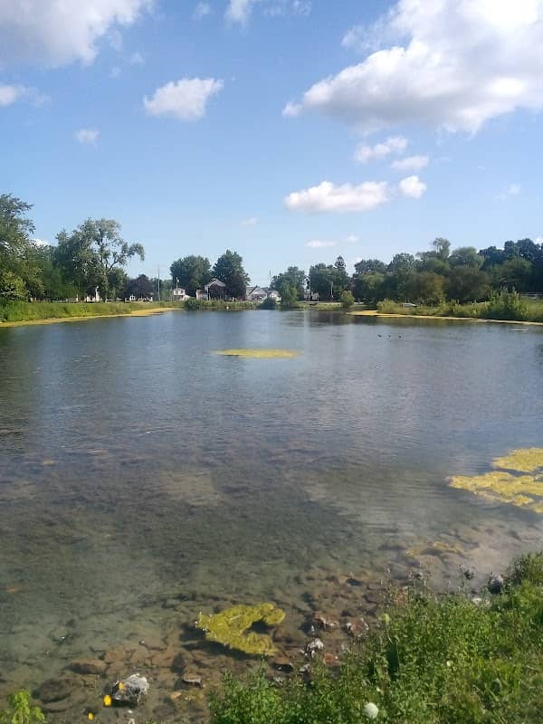 The Duck Pond - Image 1