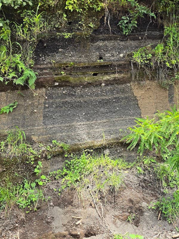 Finca Lupo - Image 1