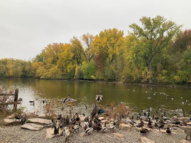 Bay Beach Wildlife Sanctuary - Image 2