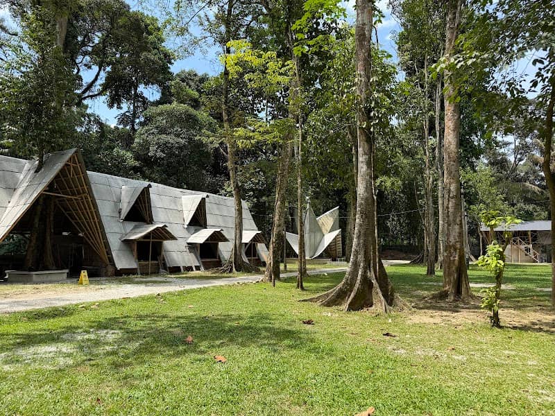 Forest 8 Senses - Image 1
