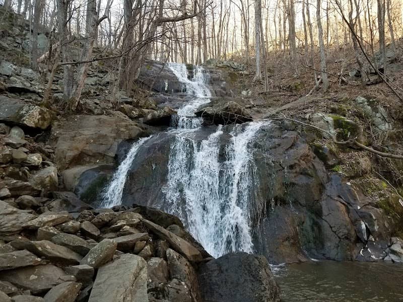 Upper Shamokin Falls Trail - Image 1
