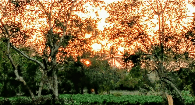 Lake View Farm, Ampad - Image 1