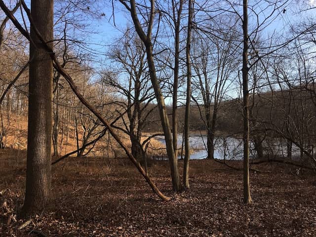 Brinton Brook Sanctuary - Image 1