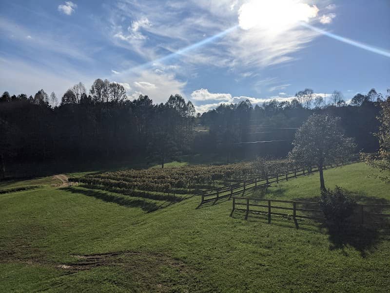 Odom Springs Vineyards - Image 1