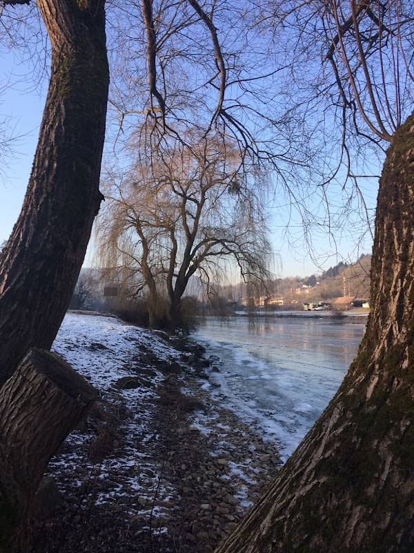Mondfeld, Brunneneck 11, Mainufer - Image 2