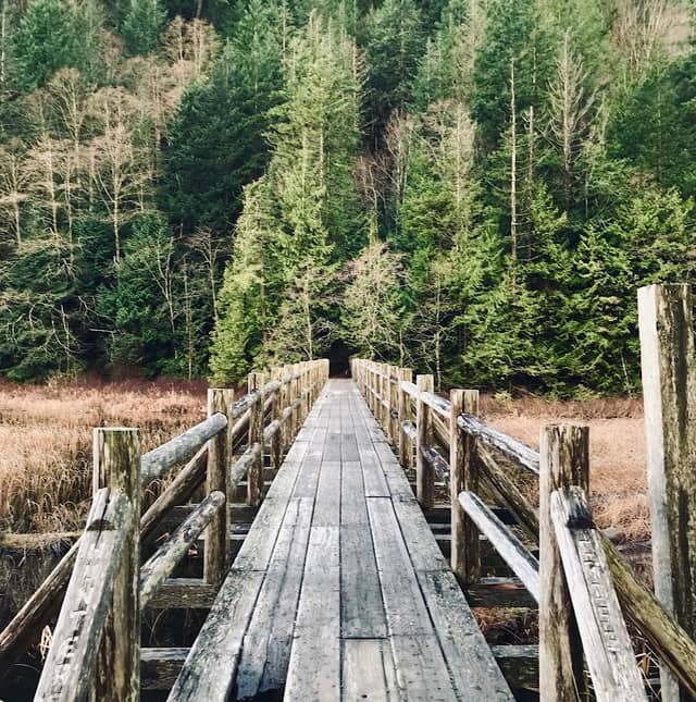 Brohm Lake Wooden Bridge - Image 1
