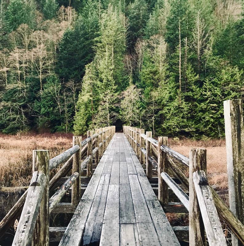 Brohm Lake Wooden Bridge - Image 1