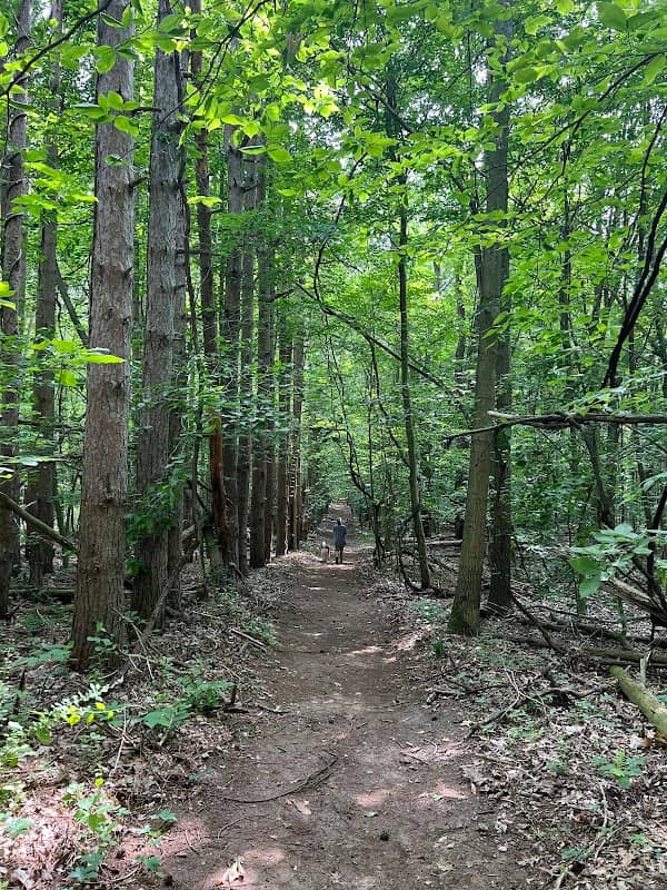 Saugatuck Wilds Nature Preserve - Image 1