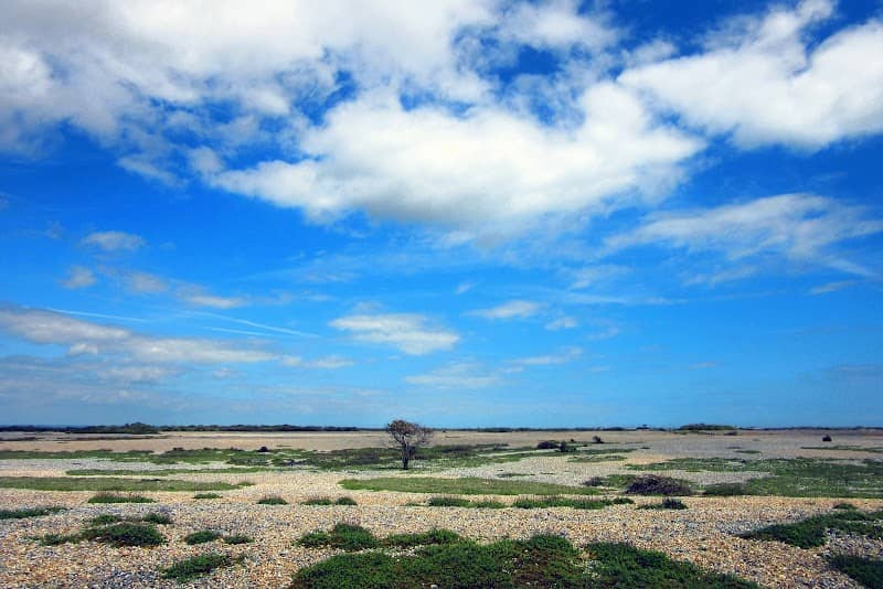 Dungeness Bird Observatory - Image 2