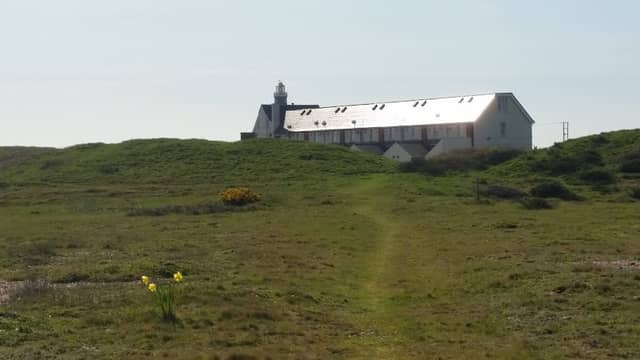 Dungeness Bird Observatory - Image 3