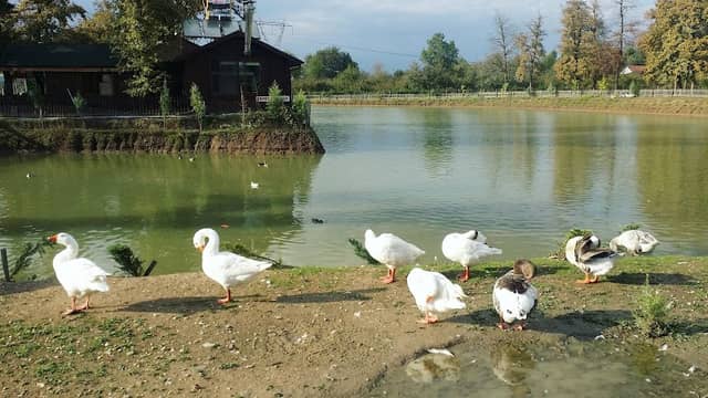 MUNCURLU GÖLET PARK - Image 1